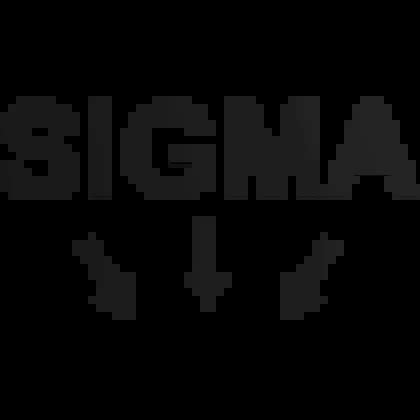 Image result for Sigma Roblox Fhoto
