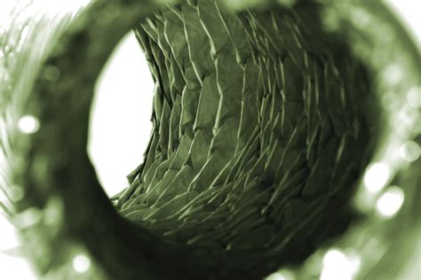 Anaconda Python Snake に対する画像結果