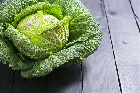 Image result for Cabbage
