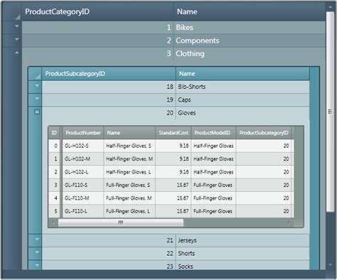 Image result for WPF DataGrid Layout