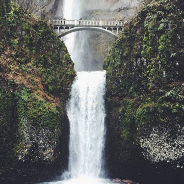 Portland Oregon Prepper に対する画像結果