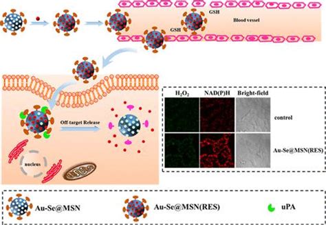 Toradh íomhá ar Chemical Engineering Science