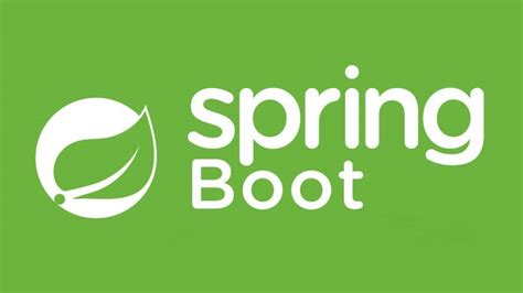 Afbeeldingsresultaten voor Spring Boot Transperant Icon