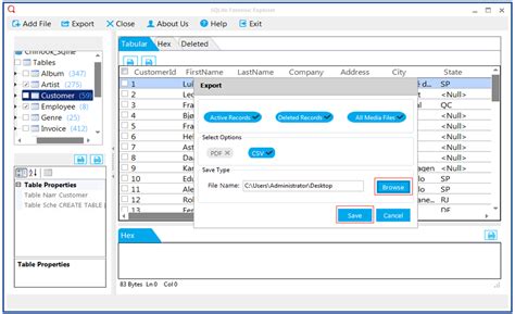 Afbeeldingsresultaten voor SQLite Forensic Explorer