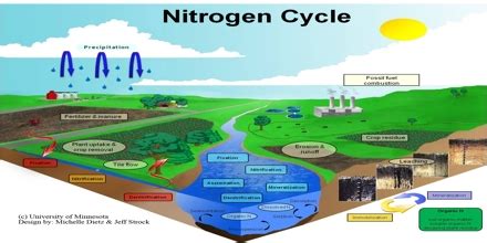 Image result for Nitrogen Gas Detector Arduino