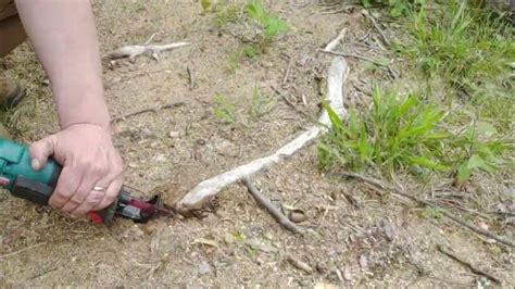 Image result for Tree Root Cutter