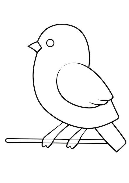 Image result for How to Draw a Rectangular Box