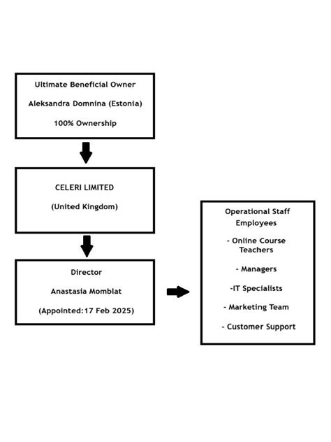Image result for Ownership Structure Chart