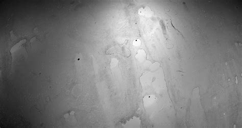 Quixel Logo に対する画像結果