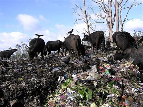 Calculate a Block Diagram Waste Sdtreams के लिए छवि परिणाम