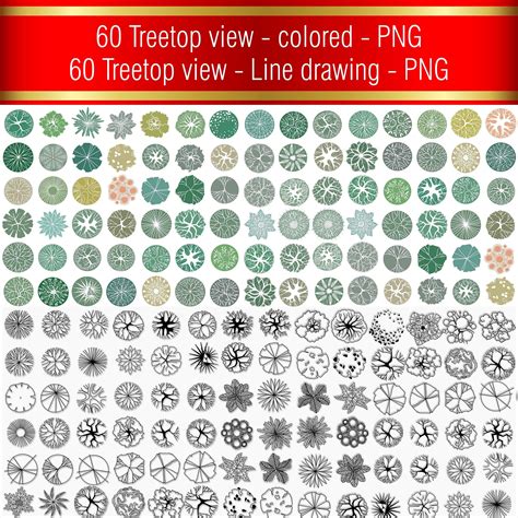 Best 11 Tree Plan PNG Image, Tree Symbols, Tree, Landscape Elements ...