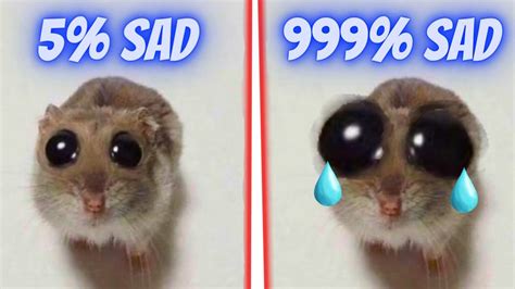Image result for Sad Hamster Meme