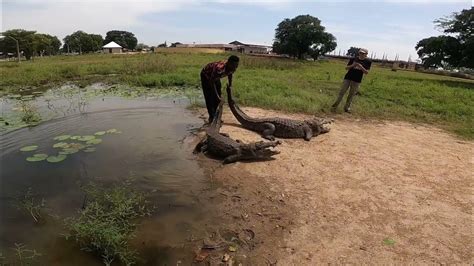 Source Code Lab に対する画像結果