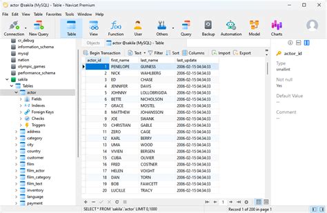 Image result for Database GUI SQL Query