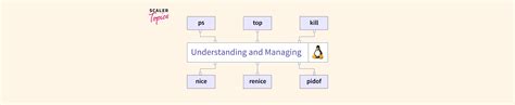 Image result for Diagram Depicting Linux Server Management Process