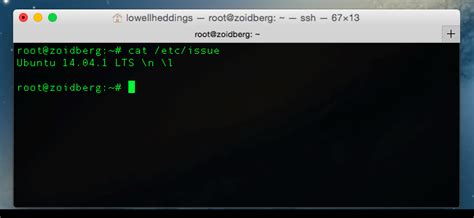 Image result for Print Out Linux Distro in Terminal
