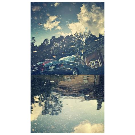 Image result for Dive into Puddle