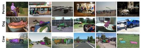 Coco Dataset Raw Image に対する画像結果