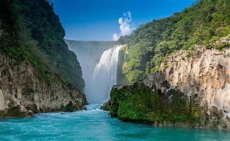 Image result for Reconectar Con Naturaleza