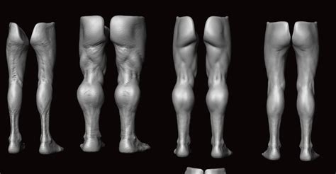 Image result for Creature Legs Reference 3D Model