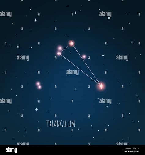Triangulum Program Interface に対する画像結果