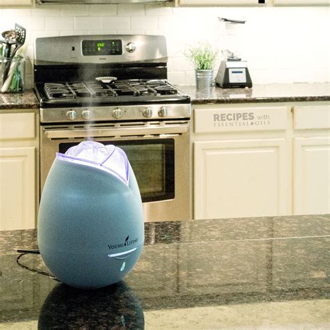 Image result for Essential Oil Diffuser 500Ml