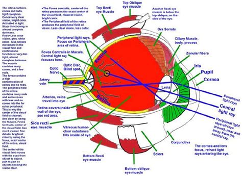 Image result for Excel Eye Diagram