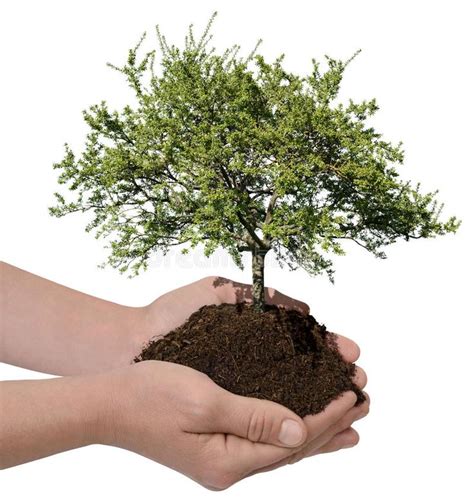 Image result for Green Nature Explanation