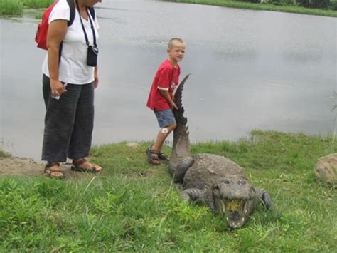 Source Code Lab に対する画像結果