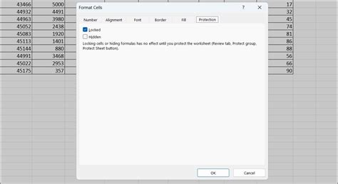 Afbeeldingsresultaten voor How to Disable Cells in Excel