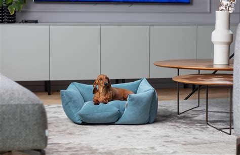 Afbeeldingsresultaten voor Sofa Turquoise