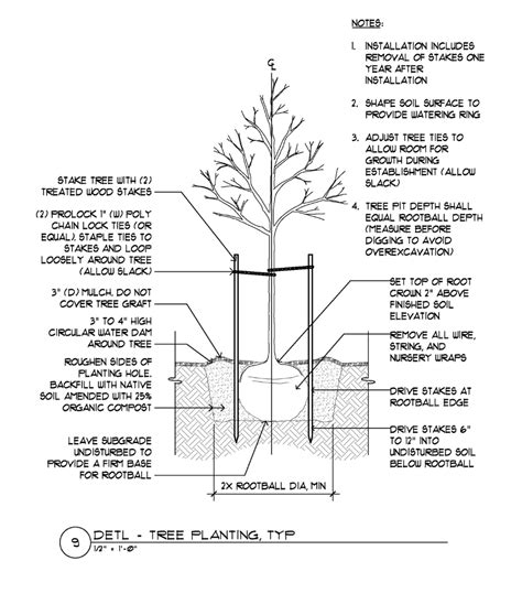 Image result for Planting in Landscape Construction