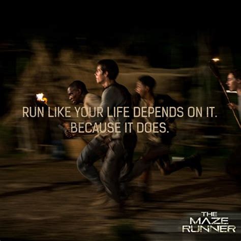 Image result for Maze Runner Ending Explained