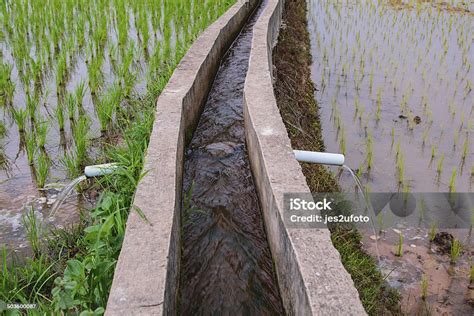 Image result for Connecting Water Trough in Field