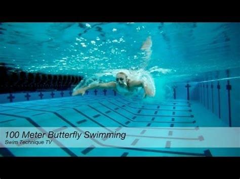 Butterfly Swimming Tutorial に対する画像結果