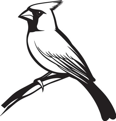 Toradh íomhá ar Cardinal Bird Outline Drawing