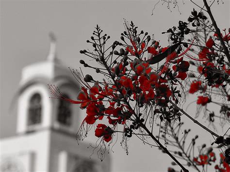 Image result for Birla Institute of Technology and Science