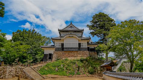 Image result for 松山 城
