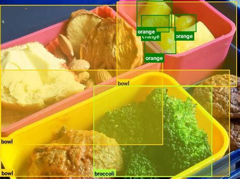 Coco Dataset Raw Image に対する画像結果