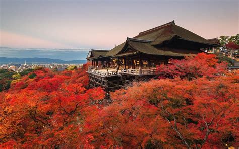 Image result for Kyoto Windows Wallpaper
