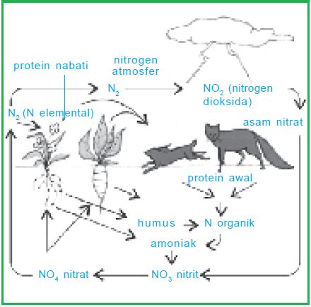 Image result for Nitrogen Gas Detector Arduino