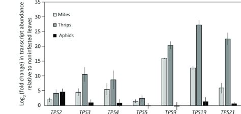 Afbeeldingsresultaten voor TPS Expression Encoder 4 Error Message