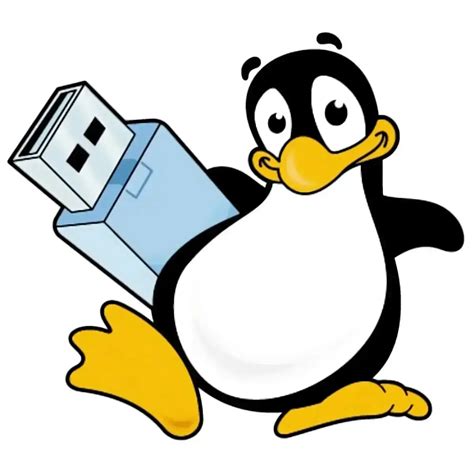Toradh íomhá ar flash usb Linux