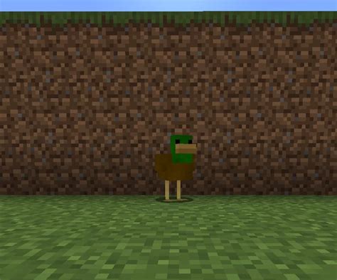 Toradh íomhá ar Minecraft Hunting Ducks Pond