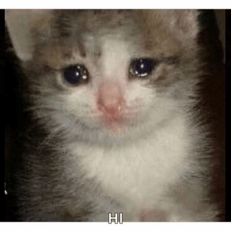 Crying Miss You Meme に対する画像結果