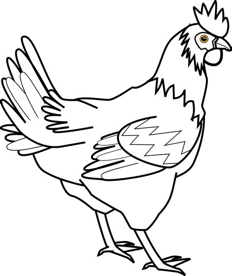 Afbeeldingsresultaten voor Chicken Line Drawing Simple