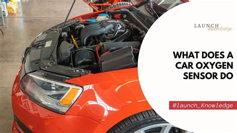 Afbeeldingsresultaten voor Presence Oxygen Sensor