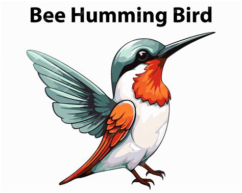 Image result for Humming Bee