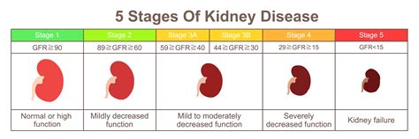 Afbeeldingsresultaten voor Normal Creatinine Levels Chart