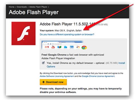 Toradh íomhá ar Installing Adobe Flash